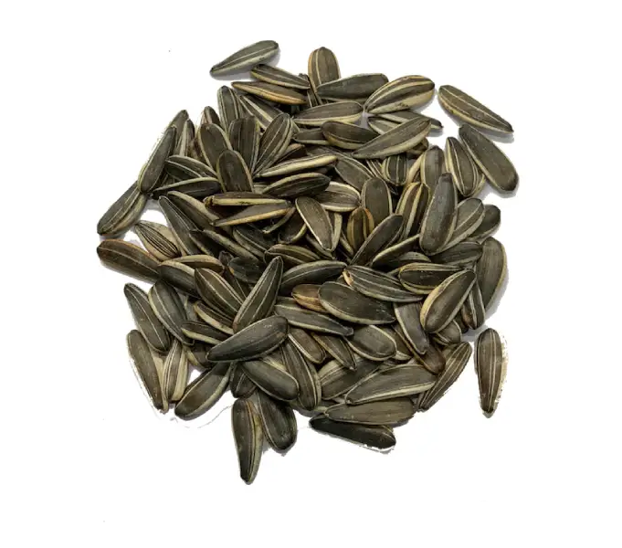 Sunflower Seeds